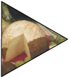 cheese
