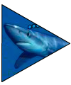 sharkarrow